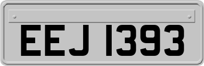 EEJ1393