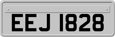 EEJ1828
