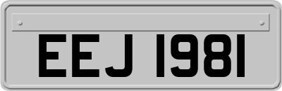 EEJ1981