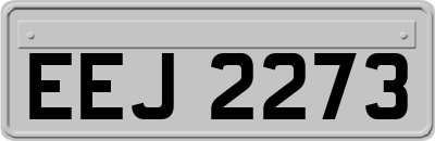 EEJ2273