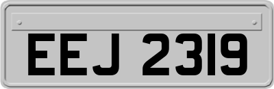 EEJ2319
