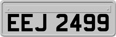 EEJ2499