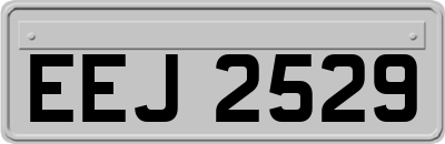 EEJ2529