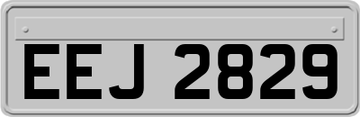 EEJ2829