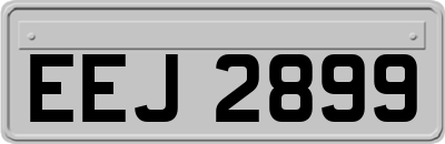 EEJ2899