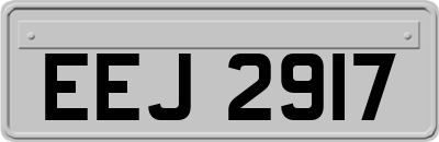 EEJ2917
