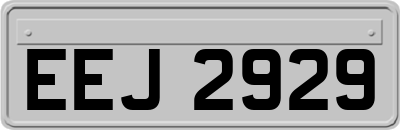 EEJ2929