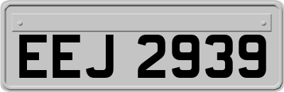 EEJ2939