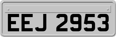 EEJ2953