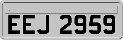 EEJ2959