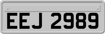 EEJ2989