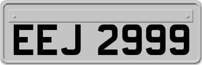 EEJ2999