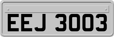 EEJ3003