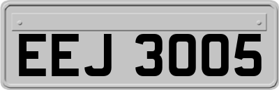 EEJ3005