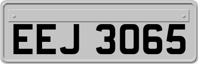EEJ3065