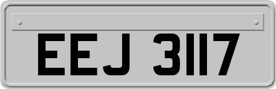 EEJ3117