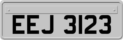 EEJ3123