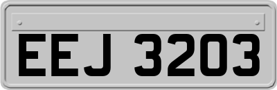 EEJ3203