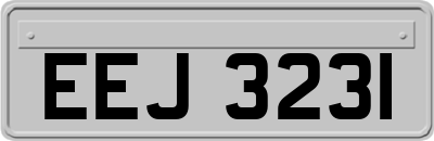 EEJ3231