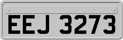 EEJ3273