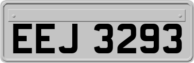 EEJ3293