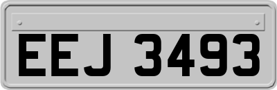 EEJ3493