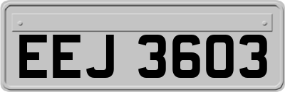 EEJ3603