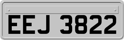 EEJ3822