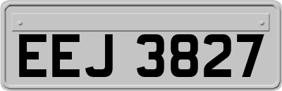 EEJ3827