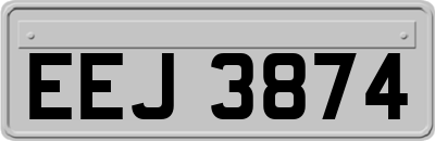 EEJ3874