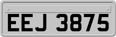 EEJ3875