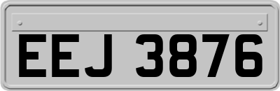 EEJ3876