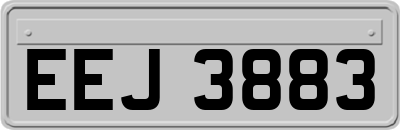 EEJ3883
