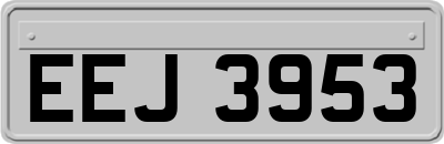EEJ3953