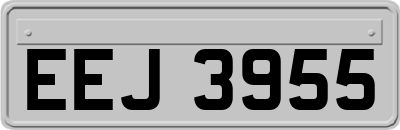 EEJ3955