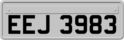 EEJ3983