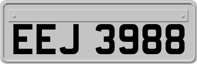 EEJ3988