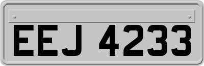 EEJ4233
