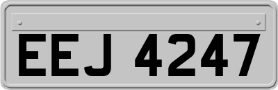 EEJ4247