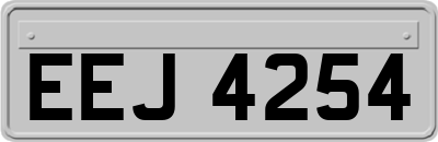 EEJ4254