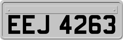 EEJ4263