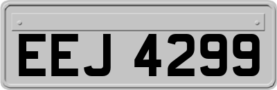 EEJ4299