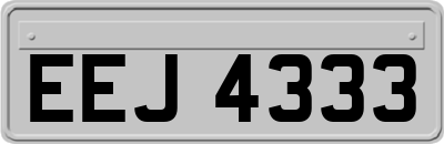 EEJ4333