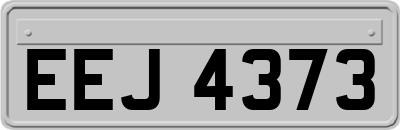 EEJ4373
