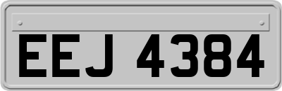 EEJ4384
