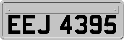 EEJ4395