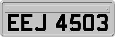 EEJ4503