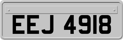 EEJ4918