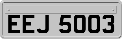EEJ5003