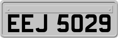 EEJ5029